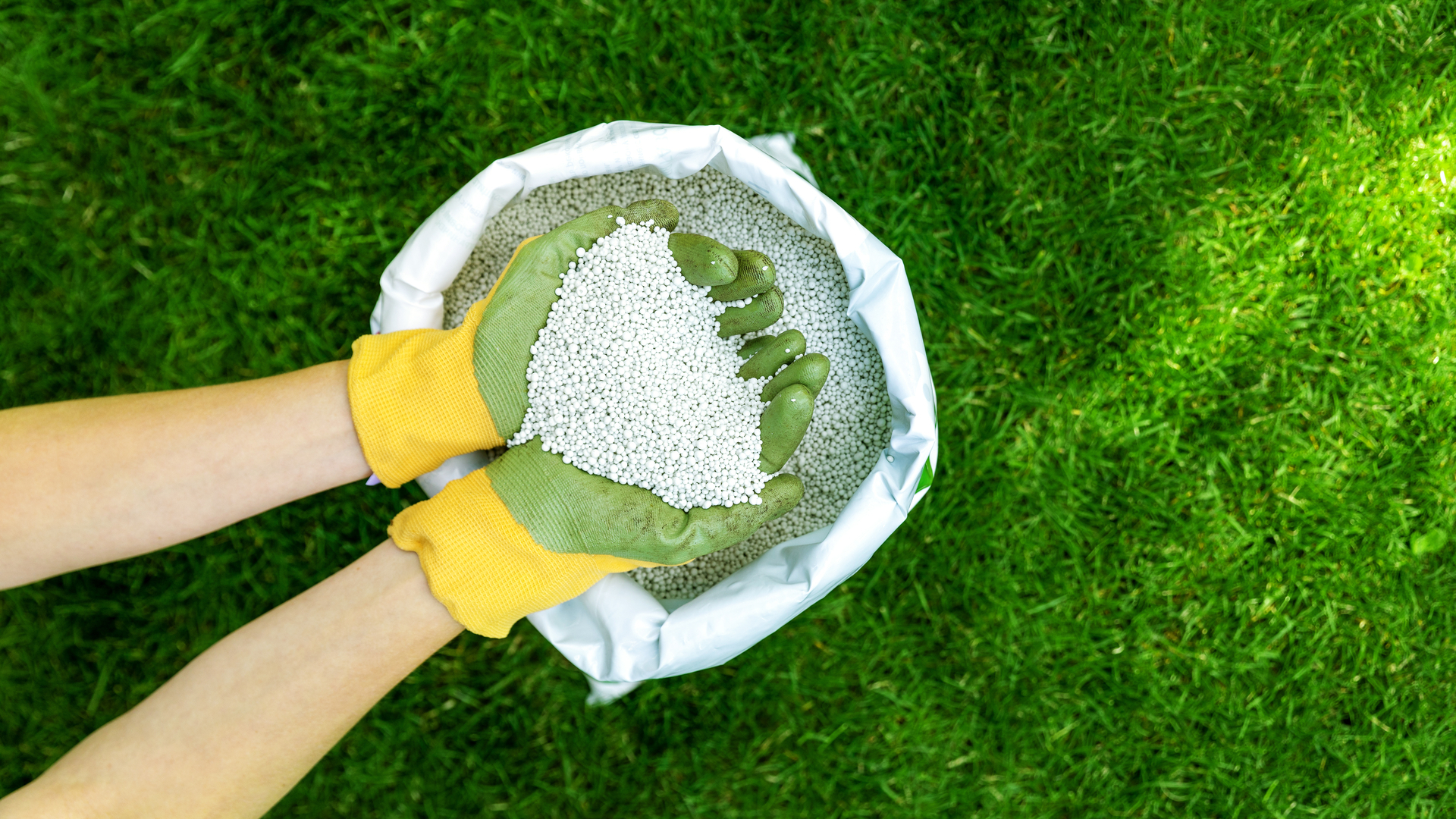 The Ideal Fertilization Schedule for Lawns in Arlington, VA