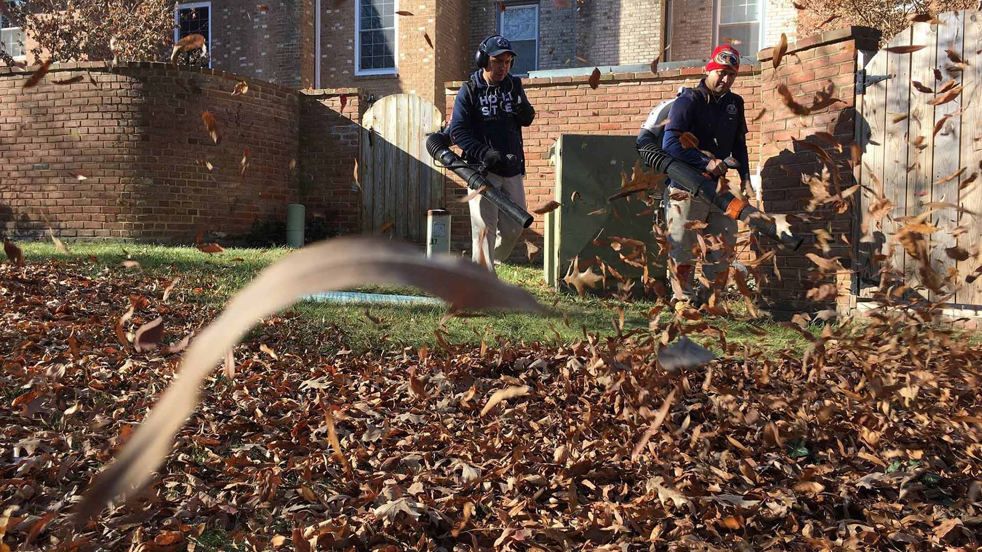 Two workers blowing leaves during a fall yard cleanup near Arlington, VA.