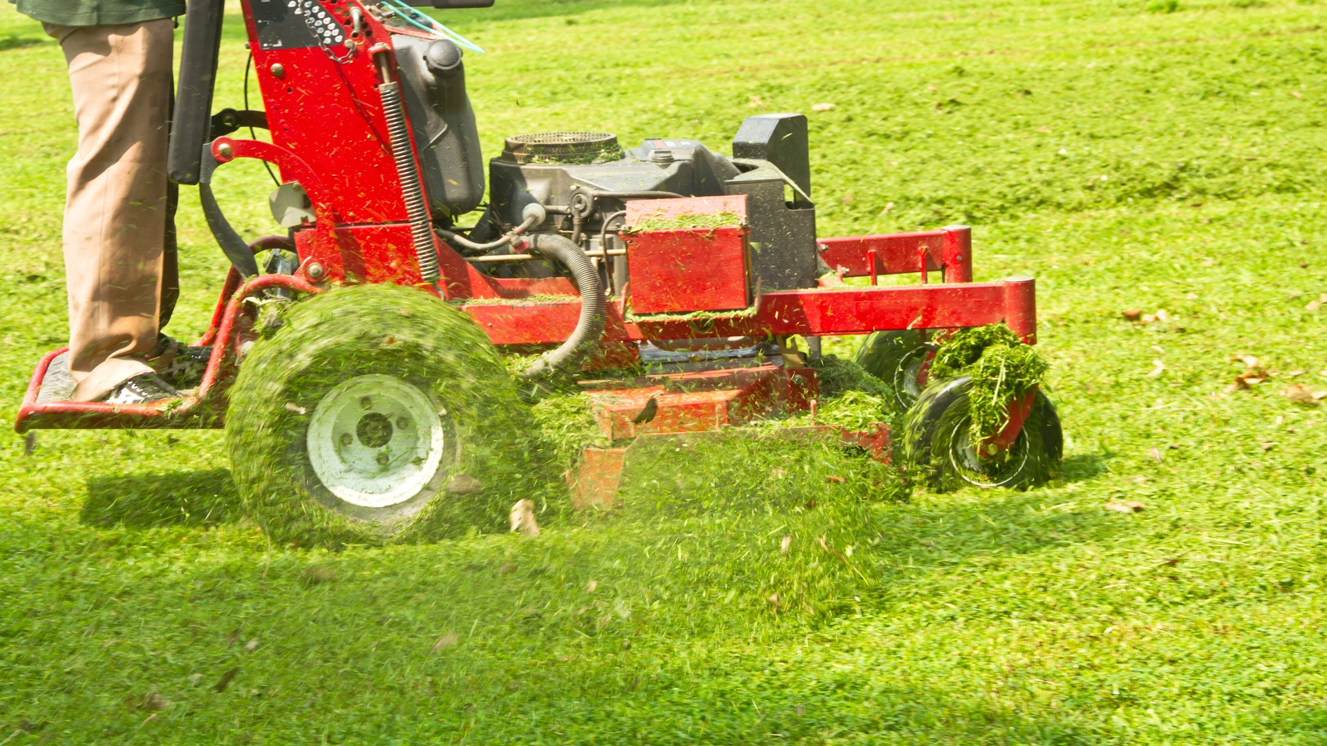 Should You Be Bagging Your Grass Clippings?