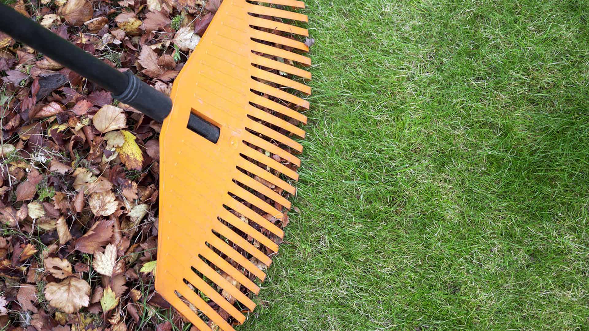 A rake collecting a pile of leaves to be removed from a yard near McLean, VA.