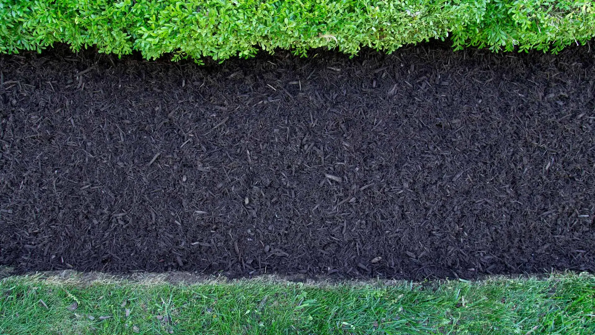 Mulch in a landscape bed replenished in Falls Church, VA.