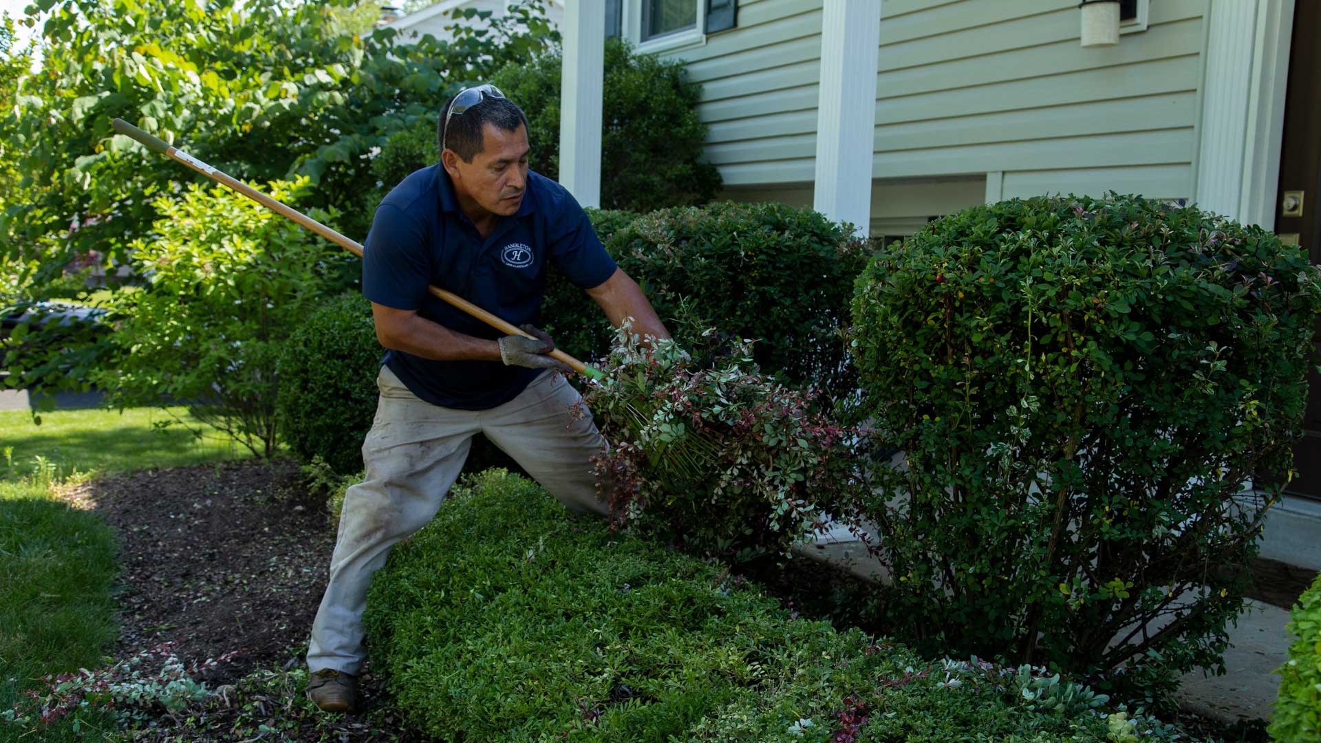 Hambleton Lawn & Landscape professional servicing landscape bed in Gainesville, VA.
