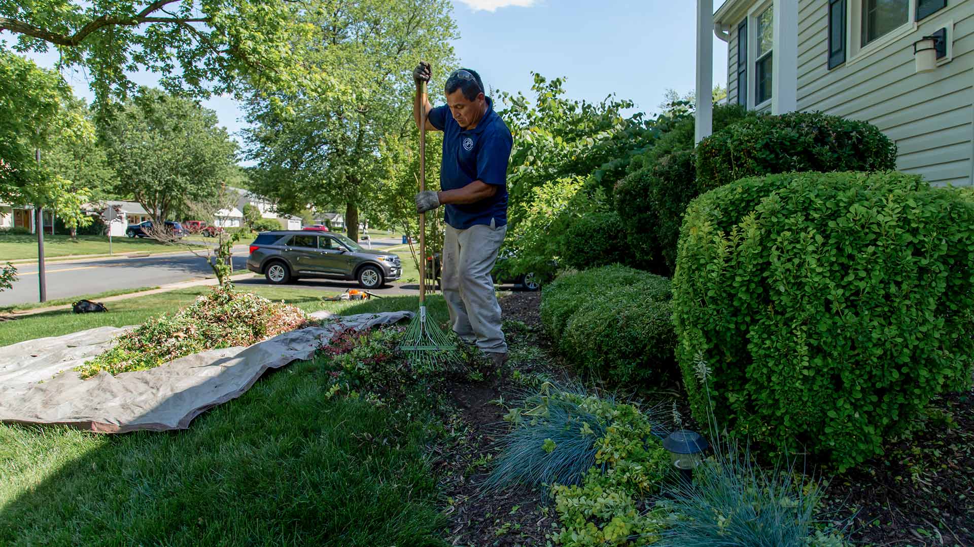 A professional performing a spring yard cleanup service in Arlington, VA.
