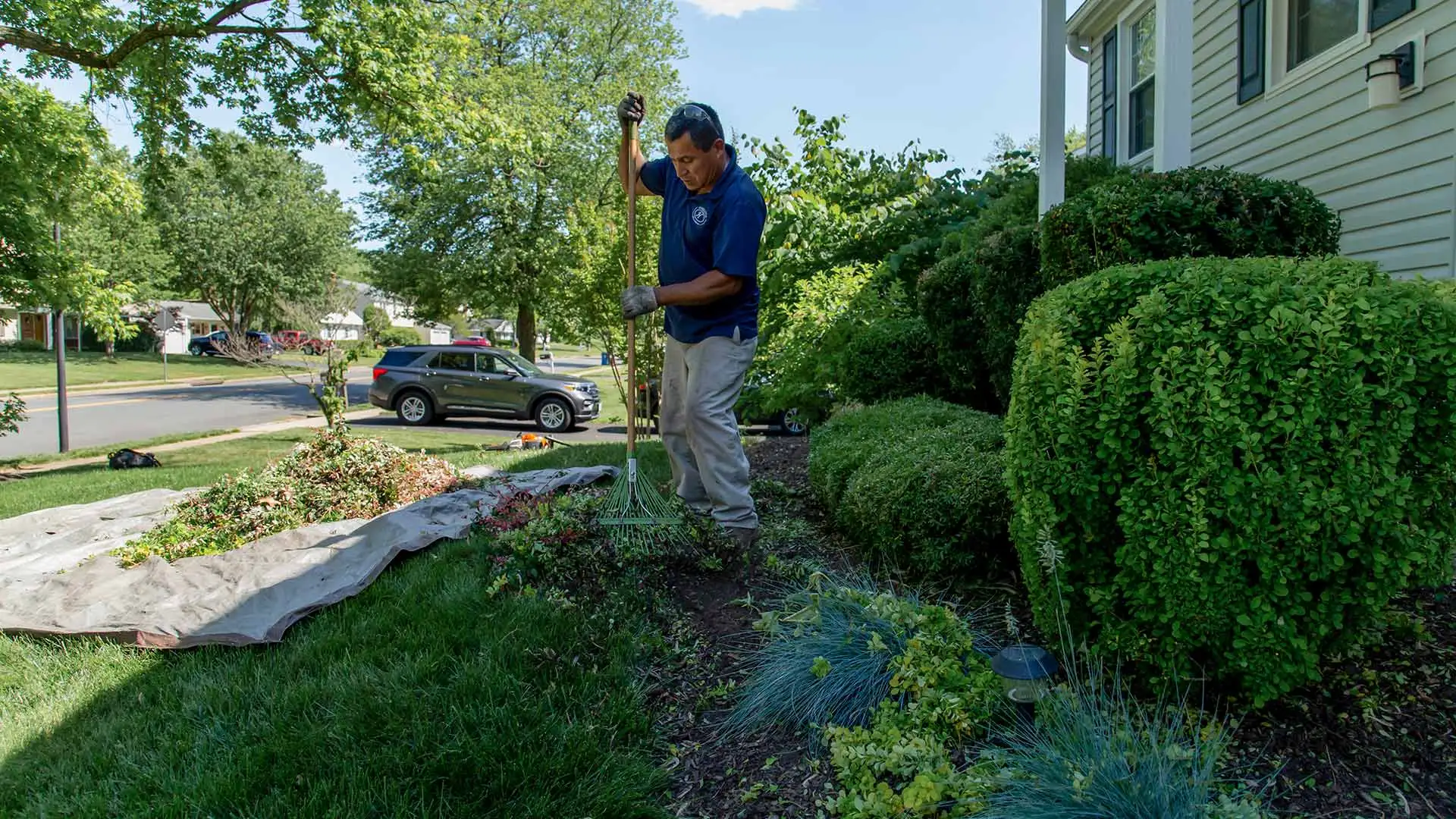 Spring Yard Cleanups Arlington, Falls Church & McLean, VA Hambleton Lawn & Landscape