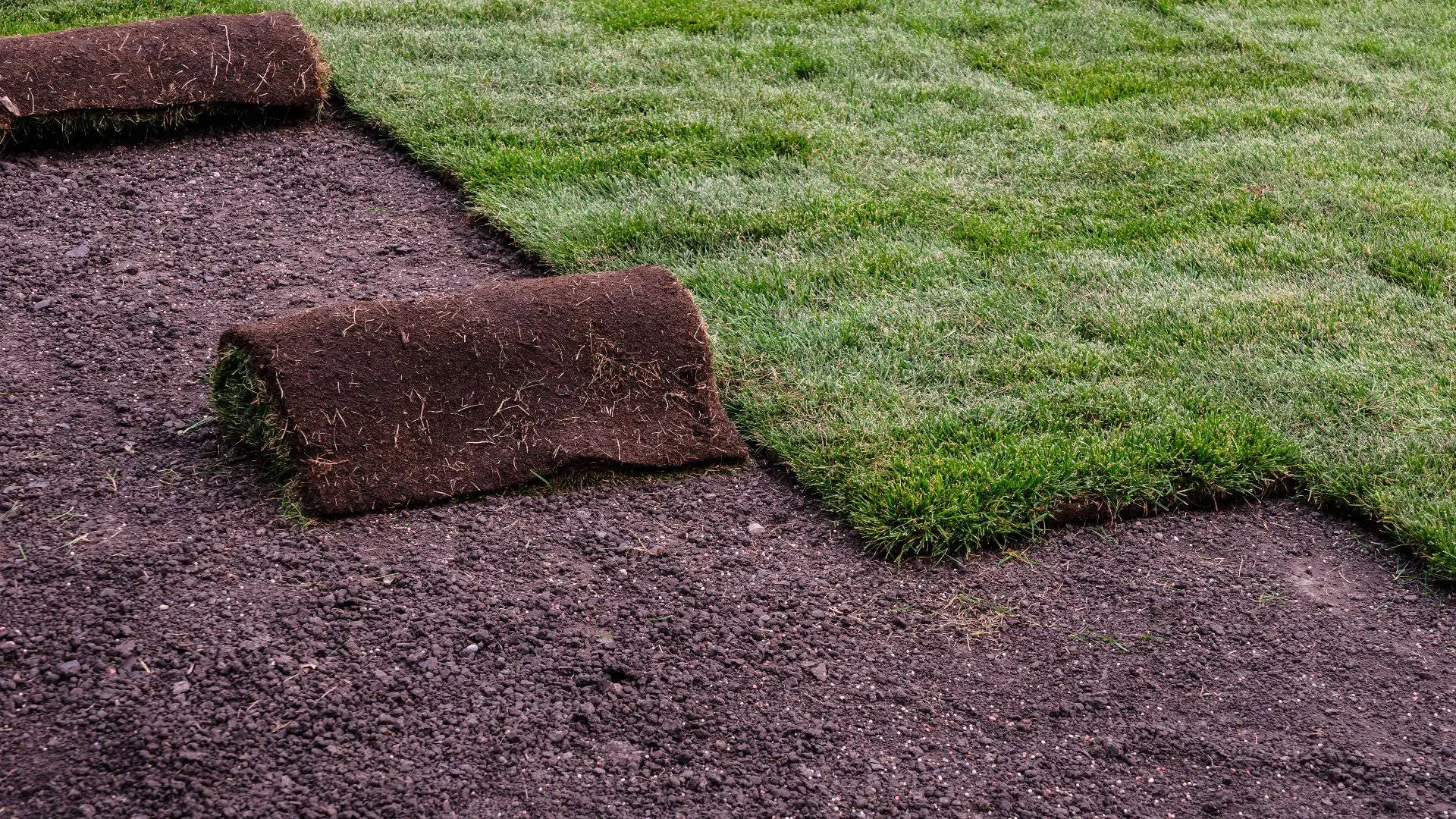 What Is the Difference Between Sod & Grass?