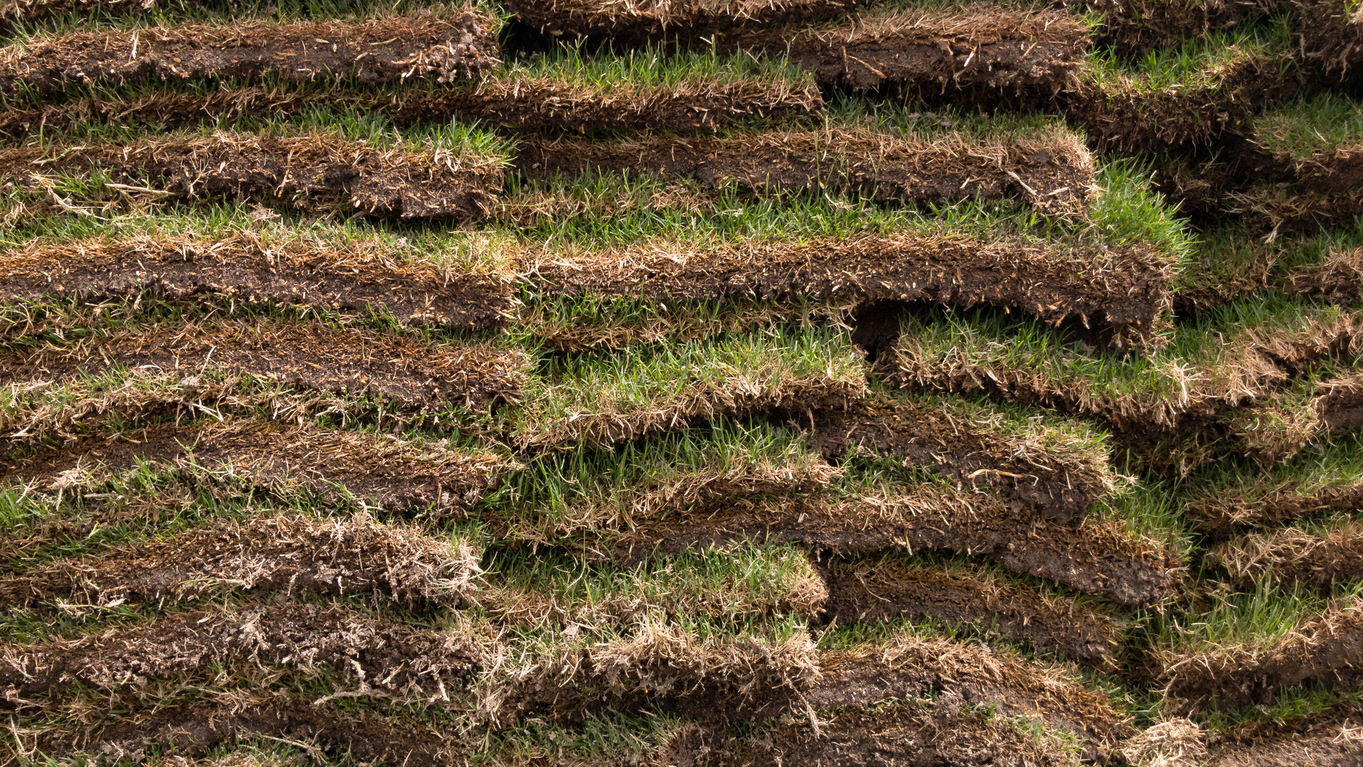 Stacks of sod ready to be installed on a property in Centreville, VA.