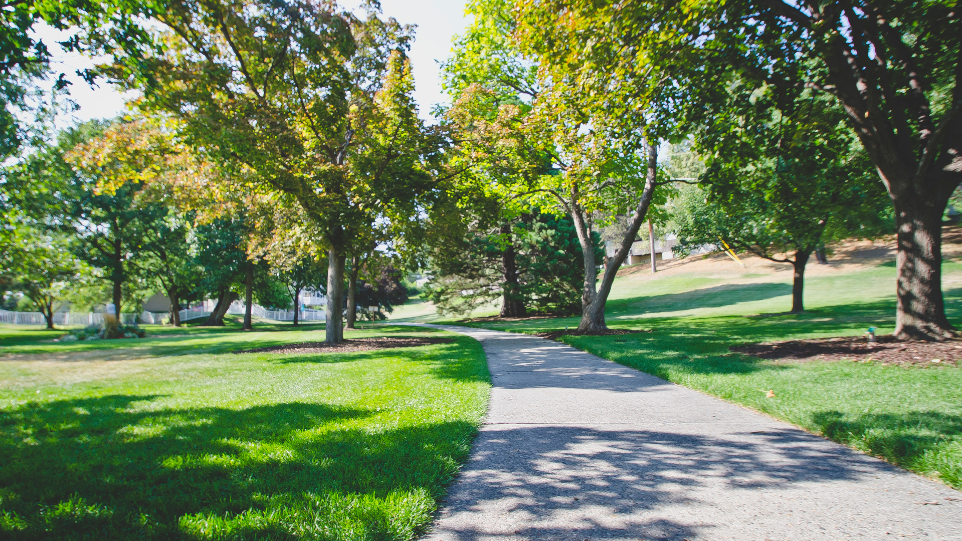 A vibrant green park in Centreville, VA.