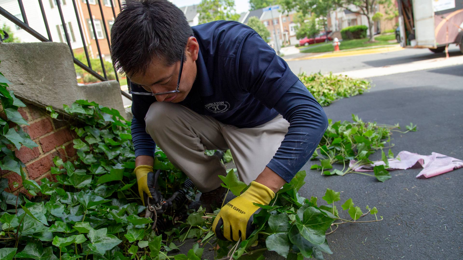 A man is trimming a vine that is growing on a staircase to maintain its aesthetic.