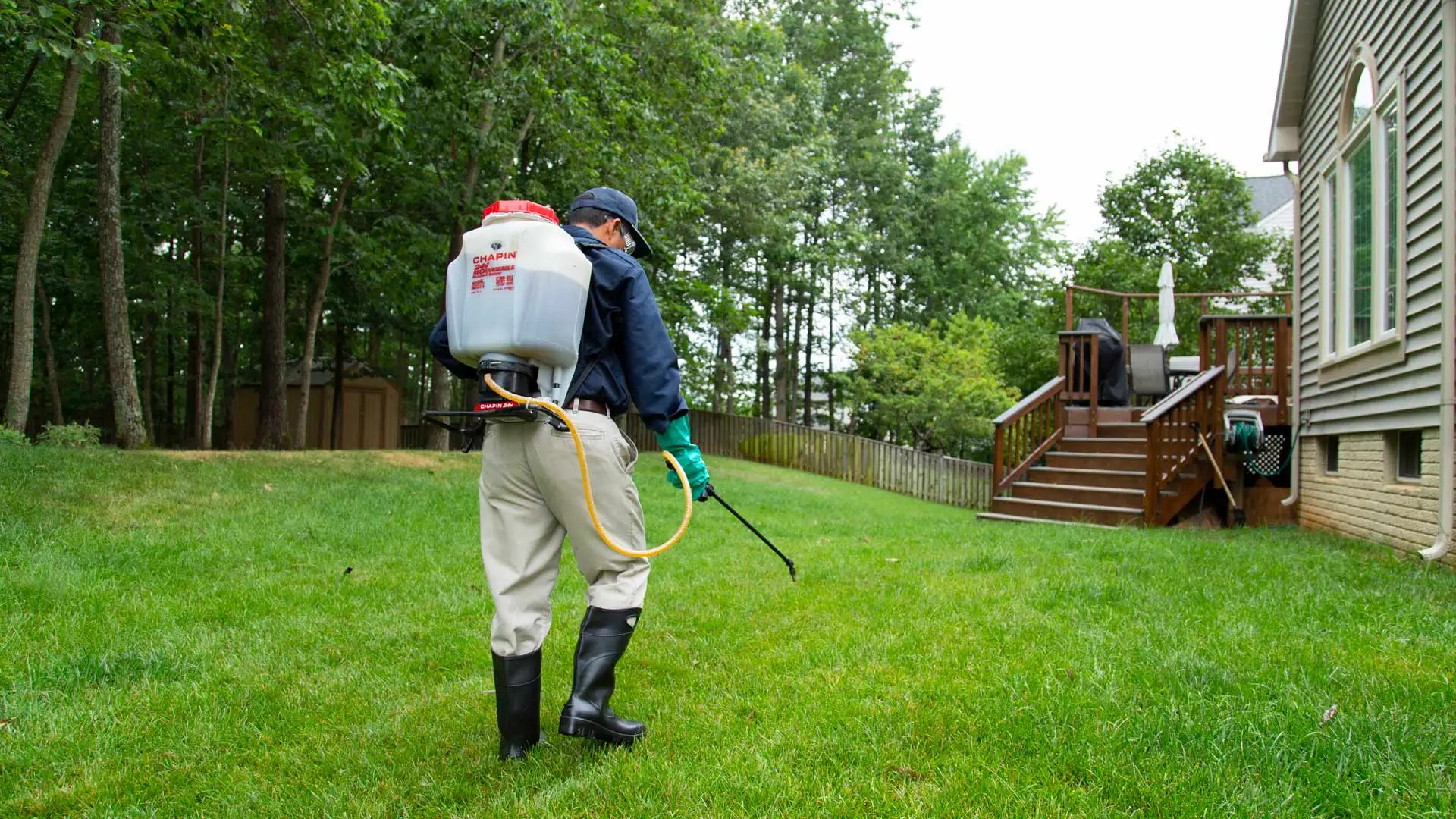 Man pulling weeds in a landscape bed.