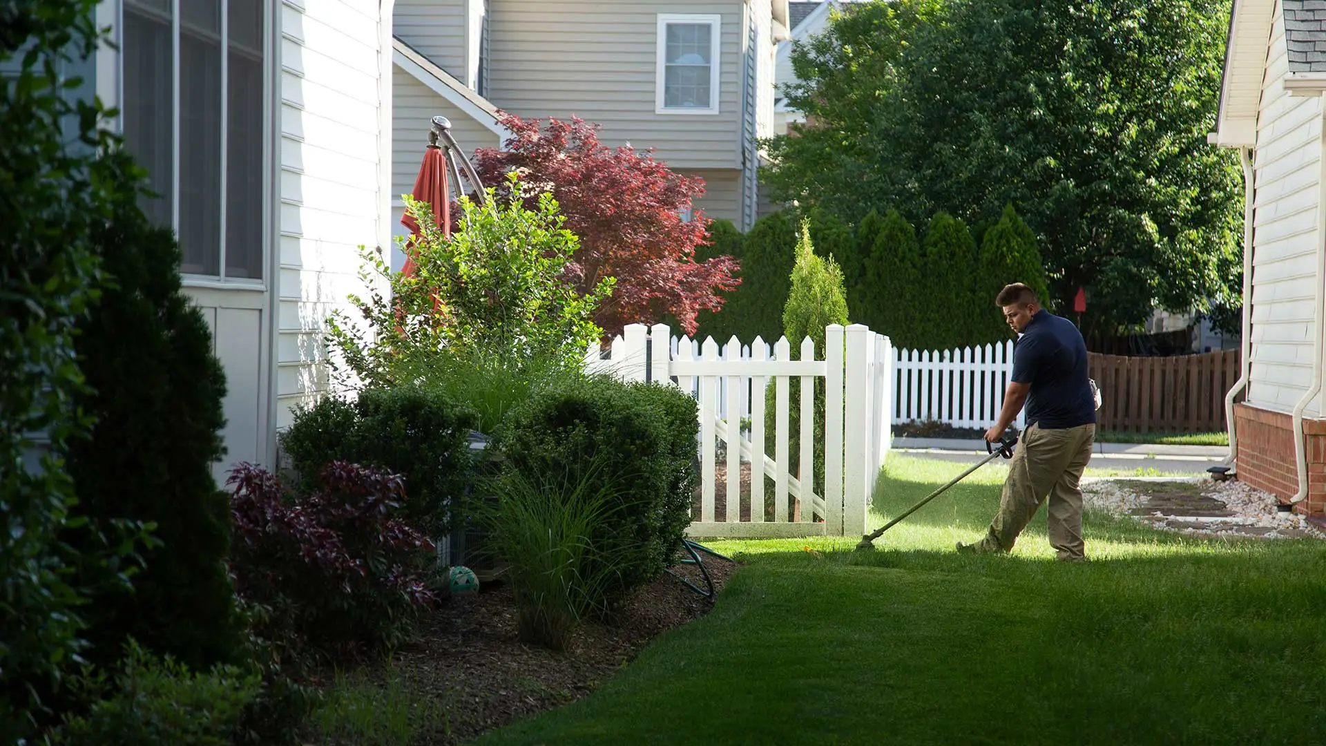 Man is weedwacking a lawn, trimming an area the mower couldn't reach.