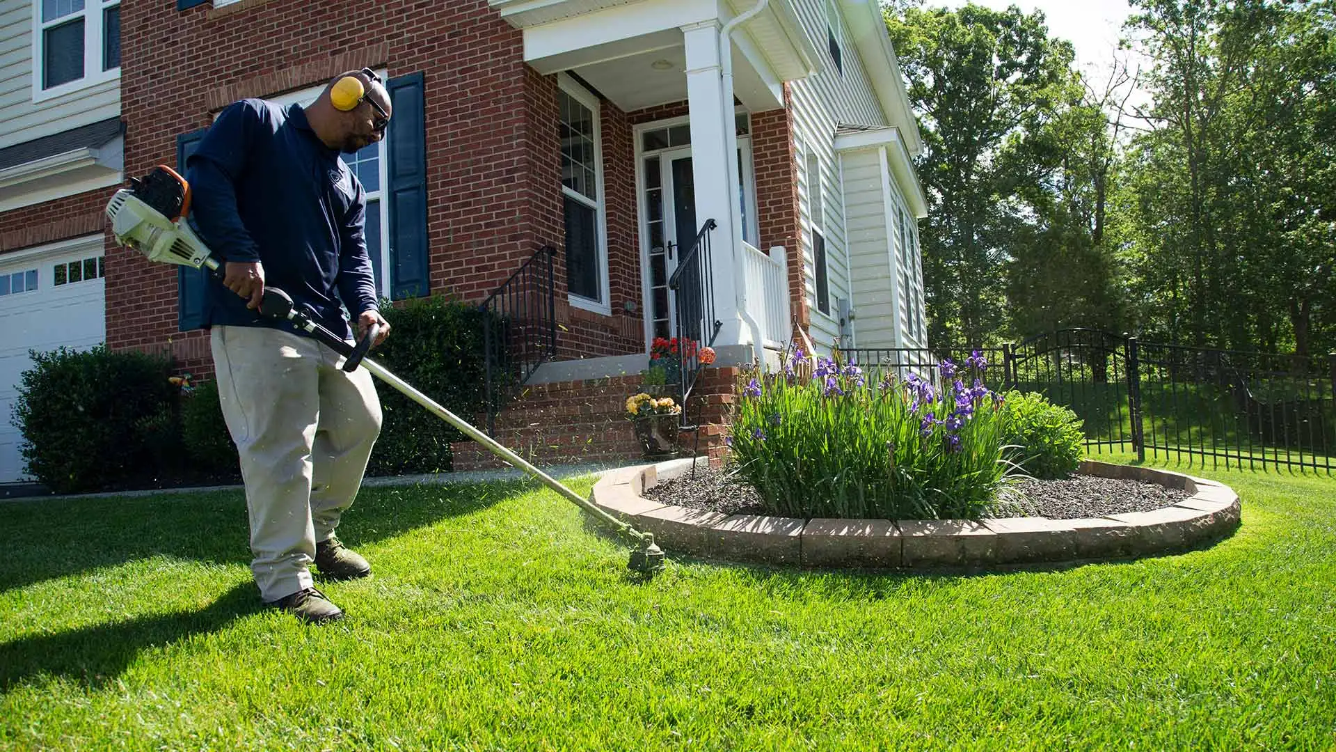 A man is weedwhacking a lawn around the edge of a landscape bed.