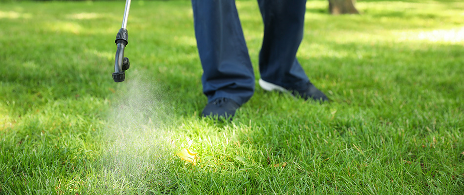 Spray nozel applying a weed control pre-emergent solution to a lawn in Fairfax, VA.