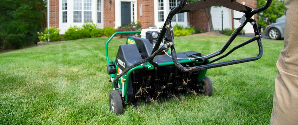 A lawn being aerated using a professional aeration machine.