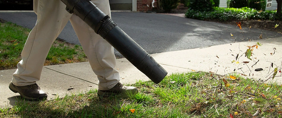 A professional blowing leaves and debris from a lawn.