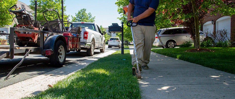 Trimming a lawn against the sidewalk with the company truck and trailer in the background.