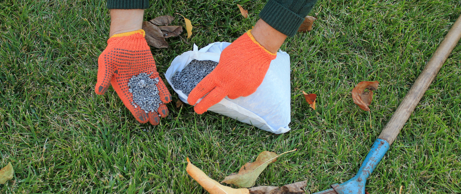 A homeowner in Manassas, VA fertilizing their lawn in the fall season. 