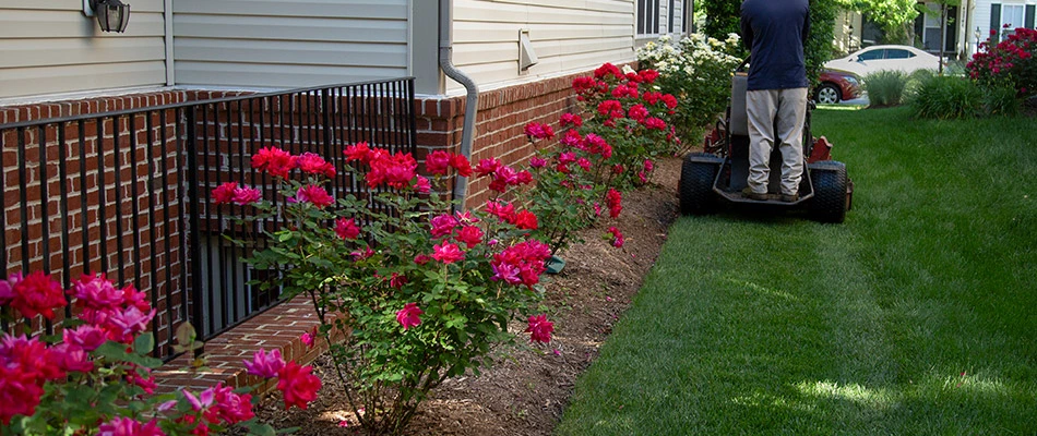 A mower cutting the grass by a flowerbed near Falls Church, VA.