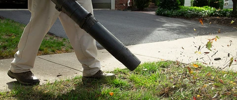 Professional blowing debris and leaves off of lawn in Virginia.
