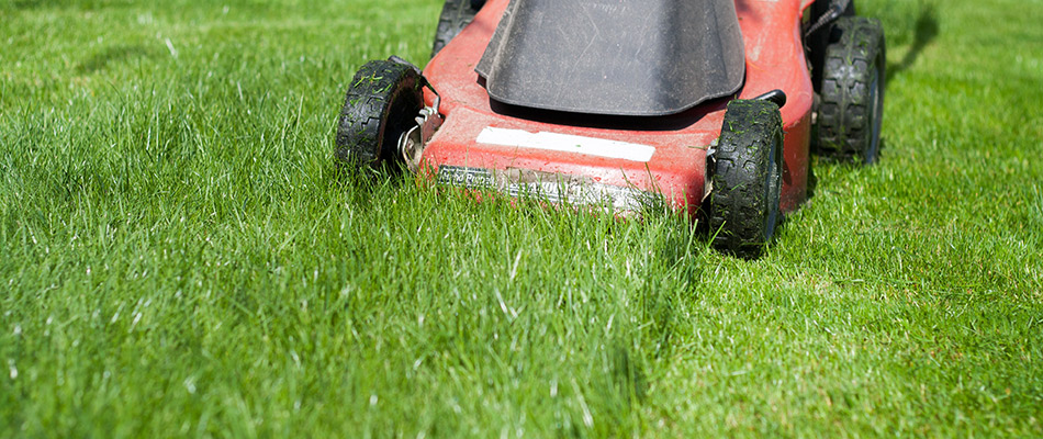 Lawn mower cutting a lawn of tall grass near Fairfax, VA.