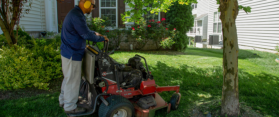 A man driving a standing mower, cutting a healthy lawn near Arlington, VA.