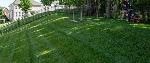 A healthy lawn on a slope is being mowed in Arlington, VA.