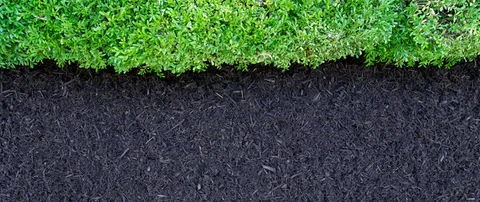 Mulch added to a landscape bed in Arlington, VA.