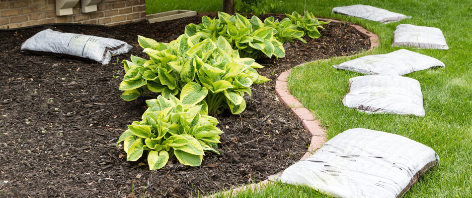 Mulch bags beside landscape bed being added for protection in Arlington, VA.
