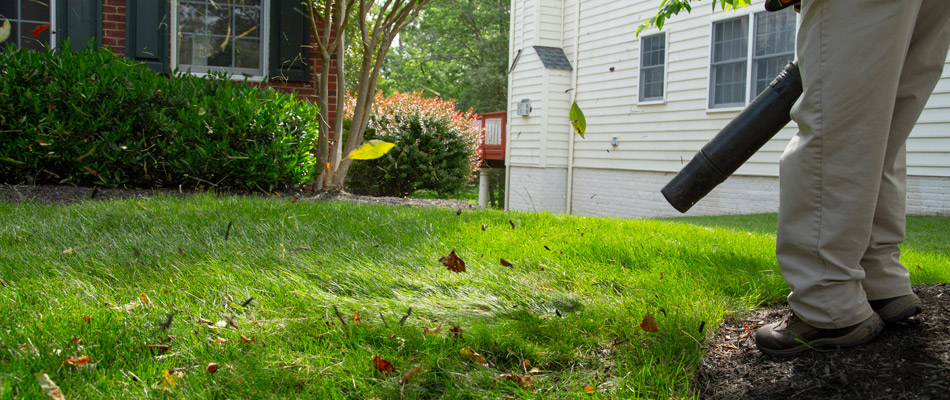 Hambleton Lawn & Landscape professional removing leaves from landscape in Gainesville, VA.