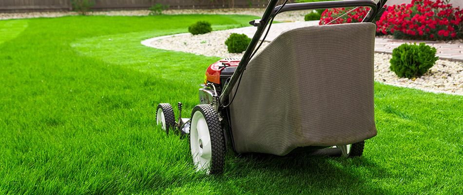 A pushmower cutting a smaller lawn near Chantilly, VA.