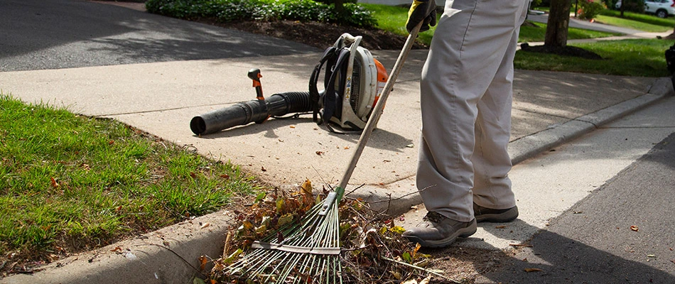 A worker piling up leaves and debris from a lawn after blowing it into the street.