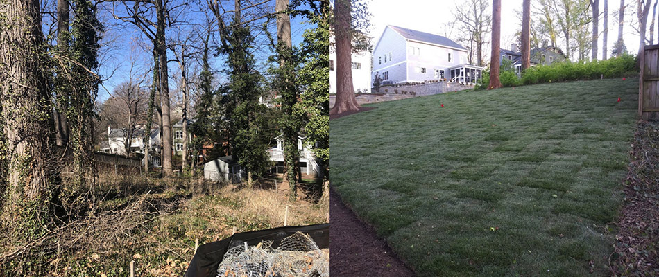 A yard transformation from chaotic weeds to a beautiful, clean, new sodded lawn.