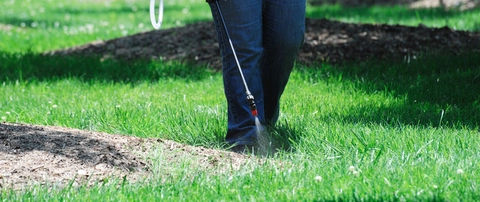 Our weed control professional spraying our client's lawn for weeds in Falls Church, VA.