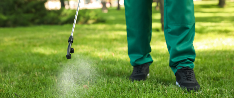 Technician applying lawn disease control to a lawn in Arlington, VA.