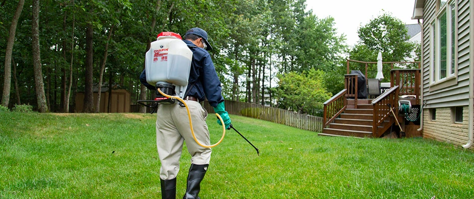 A man is walking through a lawn applying a weed control solution via a backpack and hose dispenser.