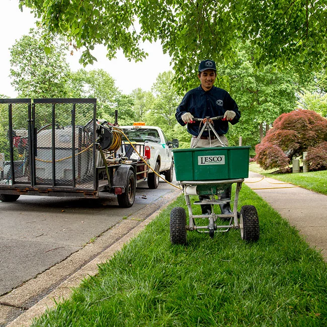 A Hambleton employee is using a granular fertilizer spreader to fertilize a customer's lawn.