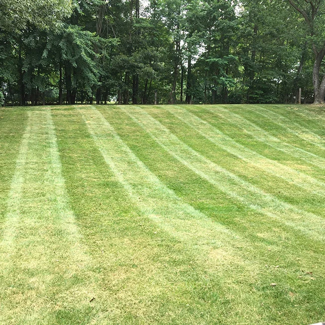 Perfectly mowed and cared for lawn with a mowing stripe pattern in the grass and a wall of trees surrounding it.