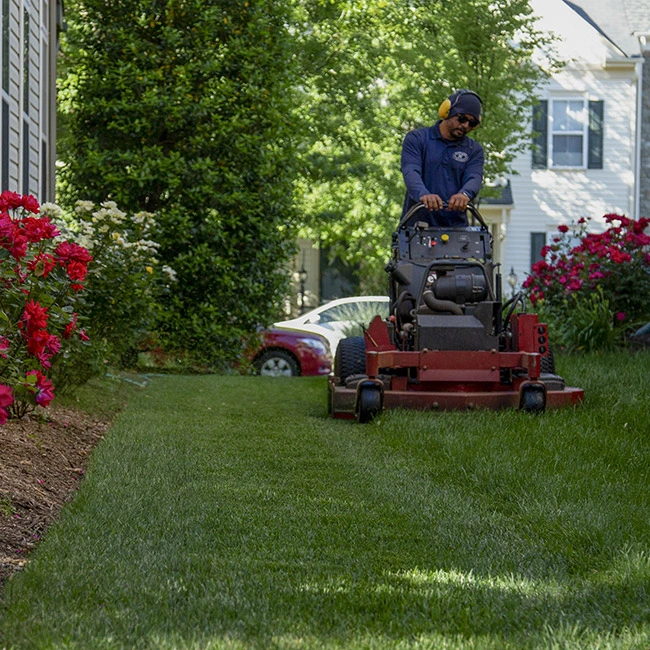 A lawn maintenance professional is mowing a customer's lawn near Arlington, VA.