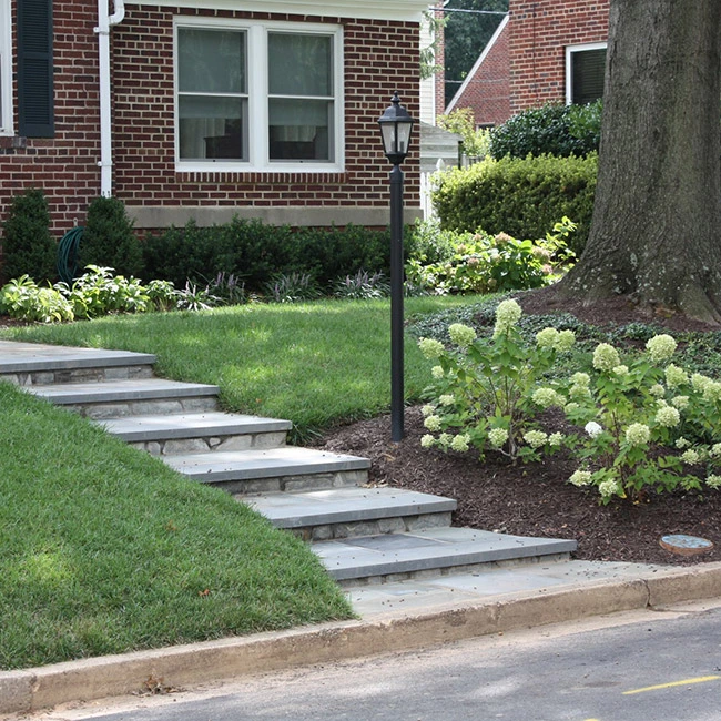 Front yard with steps, a small landscape bed and tree, and a beautiful lawn.